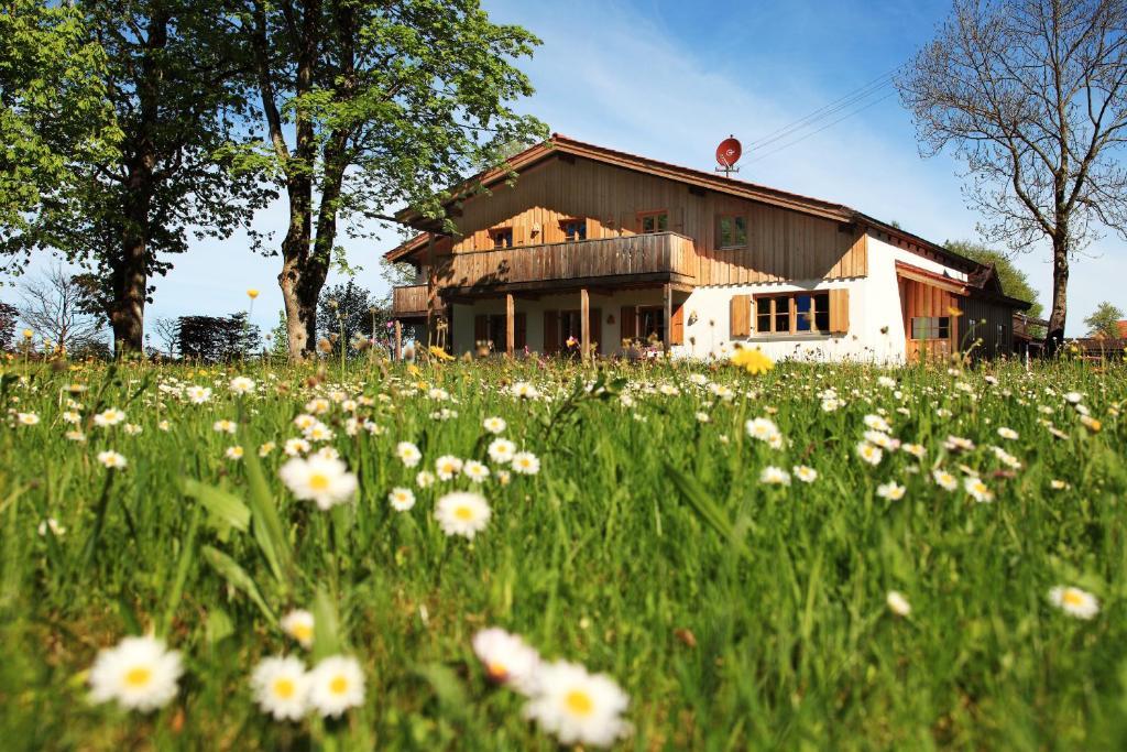 Luna Mia - Apartments Schwangau Zewnętrze zdjęcie